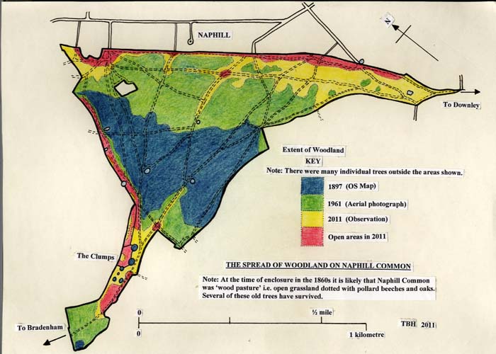 Woodland map